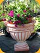 Jardiniera Grecia