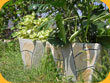 Jardiniera Kresna mare + mica