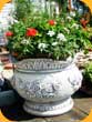 jardiniere deosebite